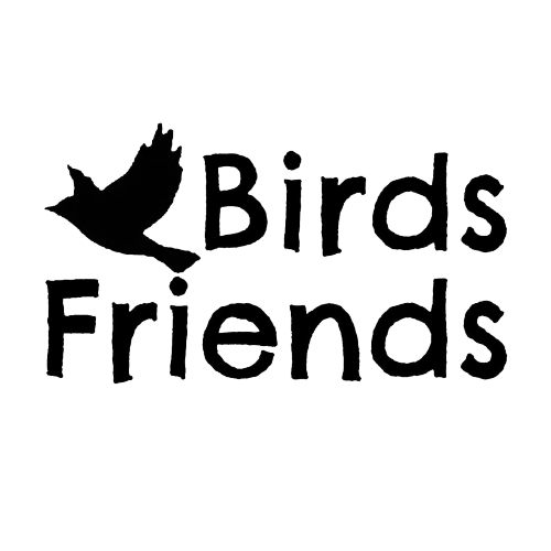 Birds Friends